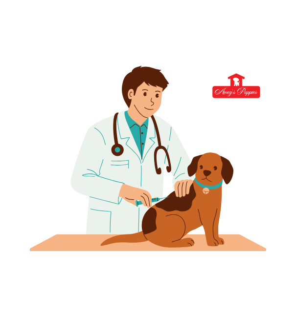 Amey's Vaccination Protocol