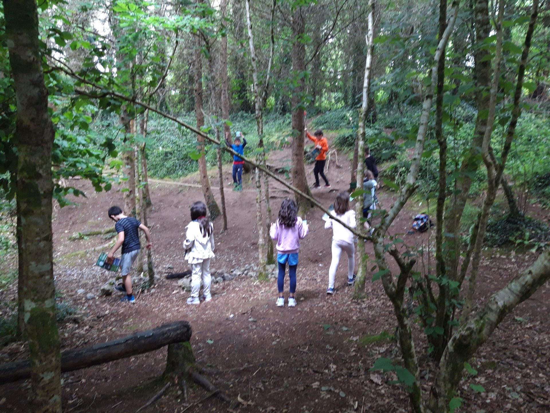 Children in a wooded area, interacting with trees. Some are facing trees, possibly playing. Brown forest floor.