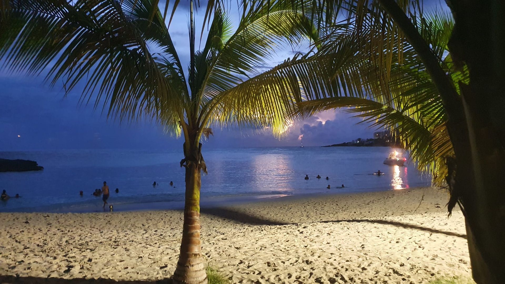 Beach scene at dusk with palm trees, water, and swimmers.