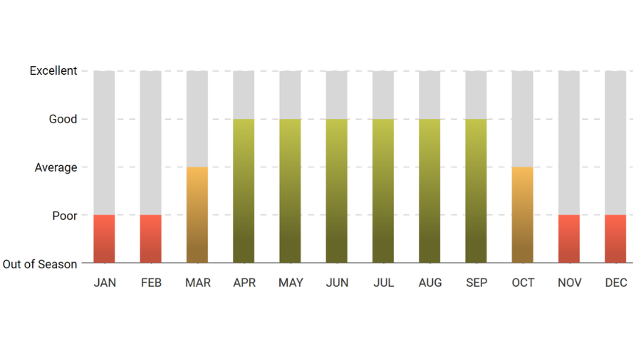 A bar graph showing the out of season for each month