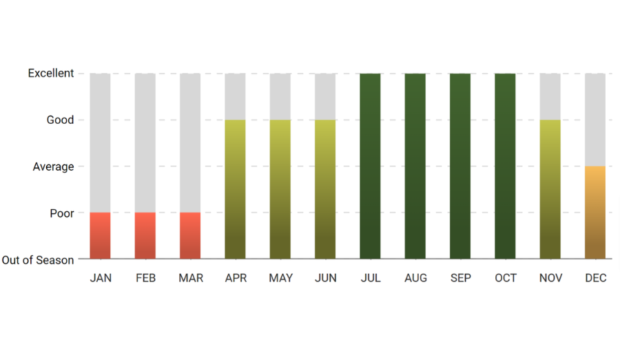 A bar graph showing the number of trees in each month