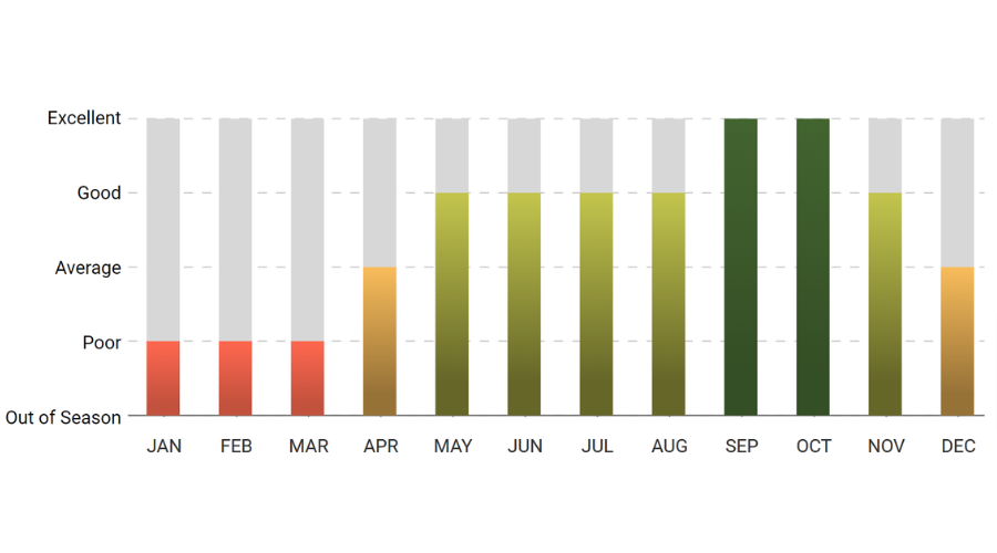 A bar graph showing the amount of rainfall in each month.