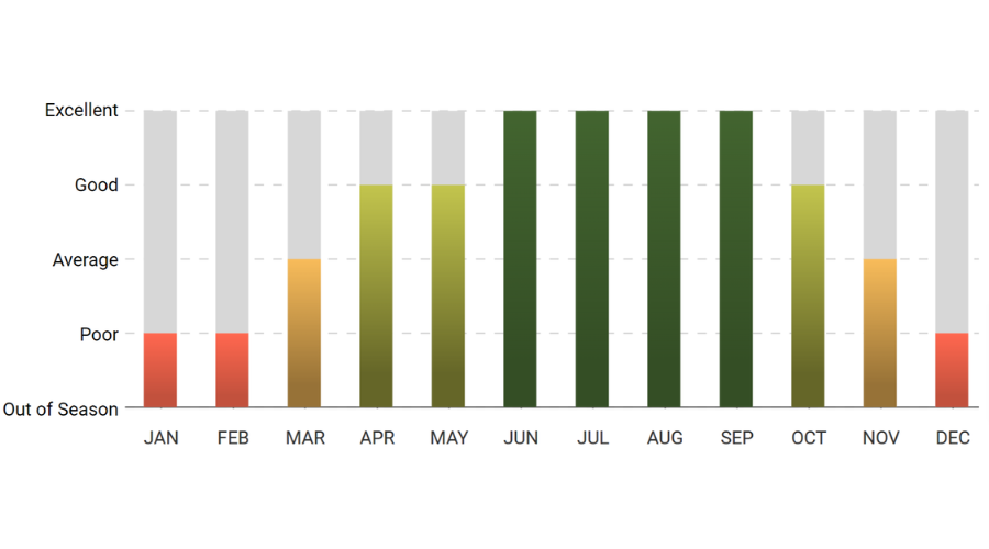 A bar graph showing the number of people in each month