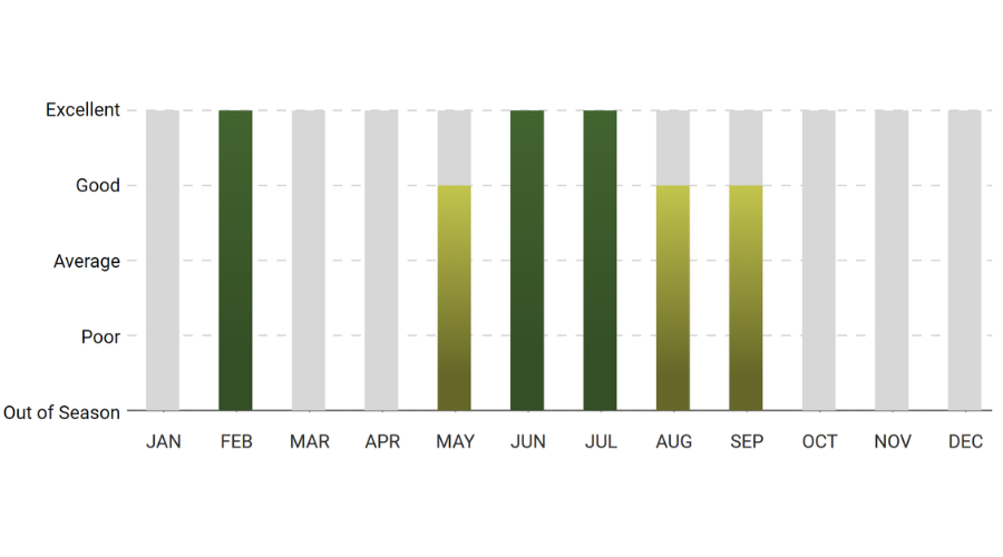 A graph showing the number of trees in each month