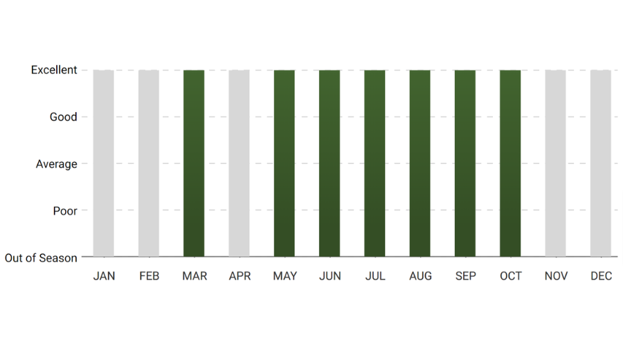 A graph showing the number of people in each month.