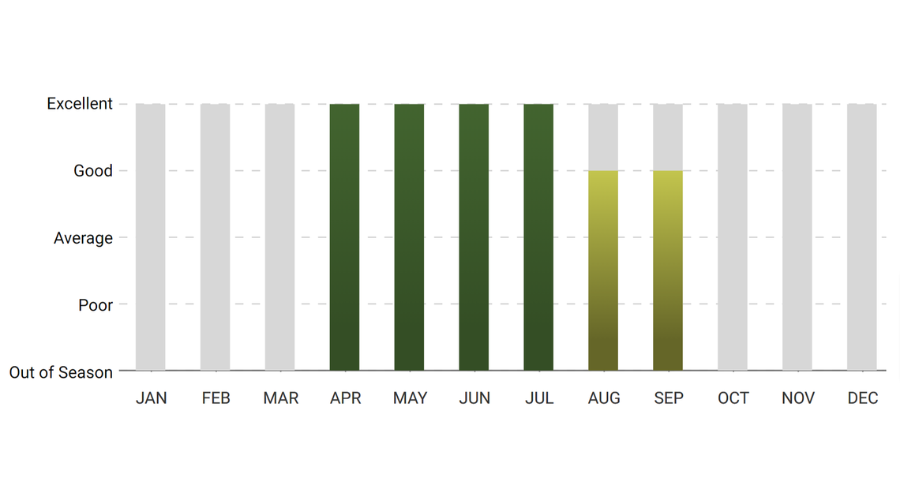 A graph showing the number of people sleeping in each month.