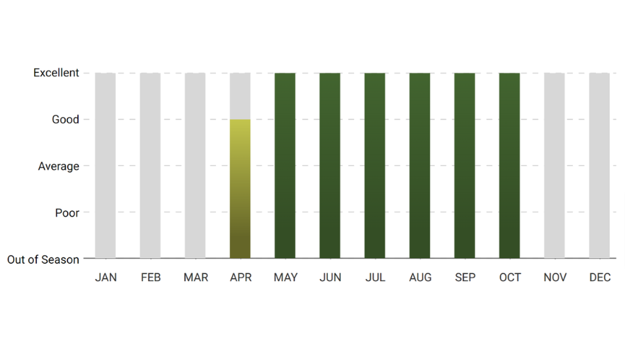 A graph showing the number of trees in each month.