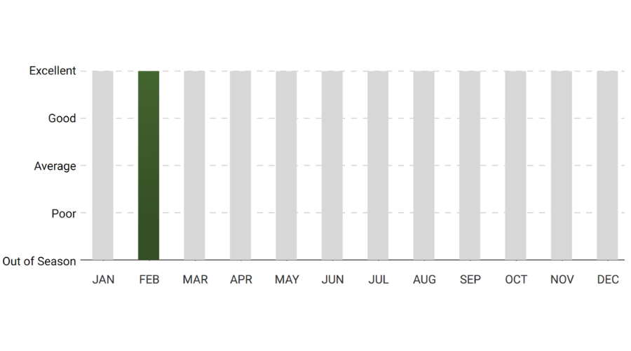 A graph showing a green line in the middle of the graph.