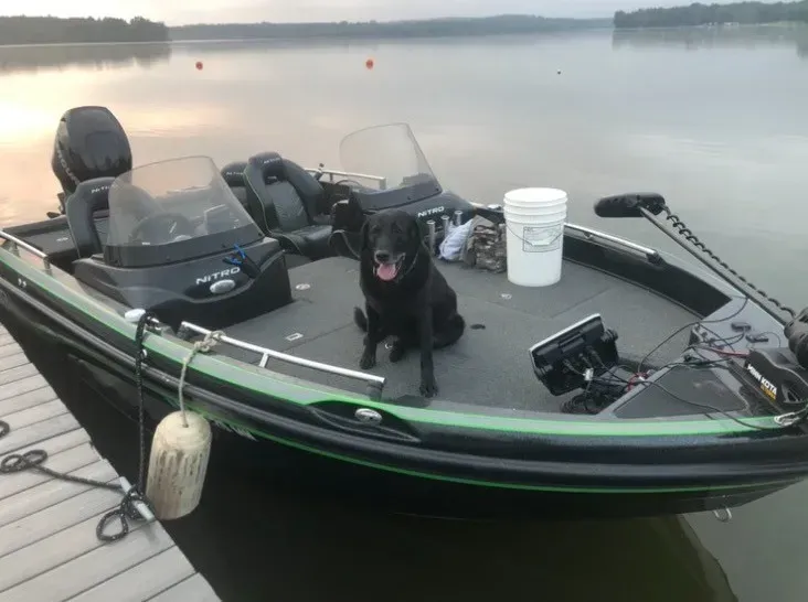 A black dog is sitting on the deck of a boat.