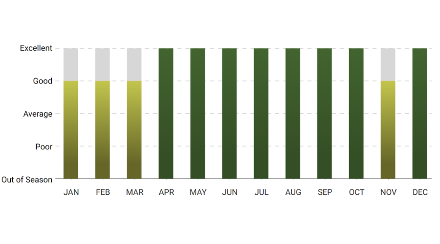 A graph showing the number of trees in each month