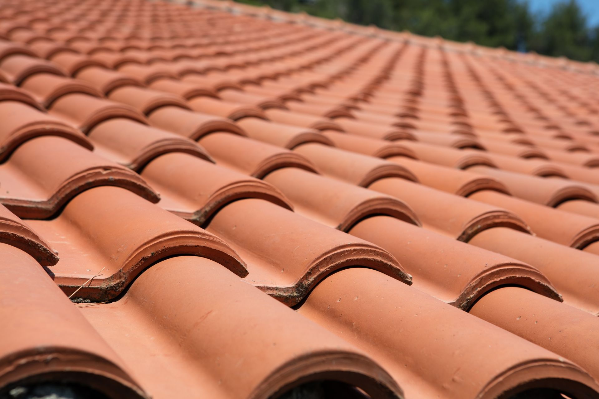 Close-up of rows of terracotta roof tiles on a sloped roof
