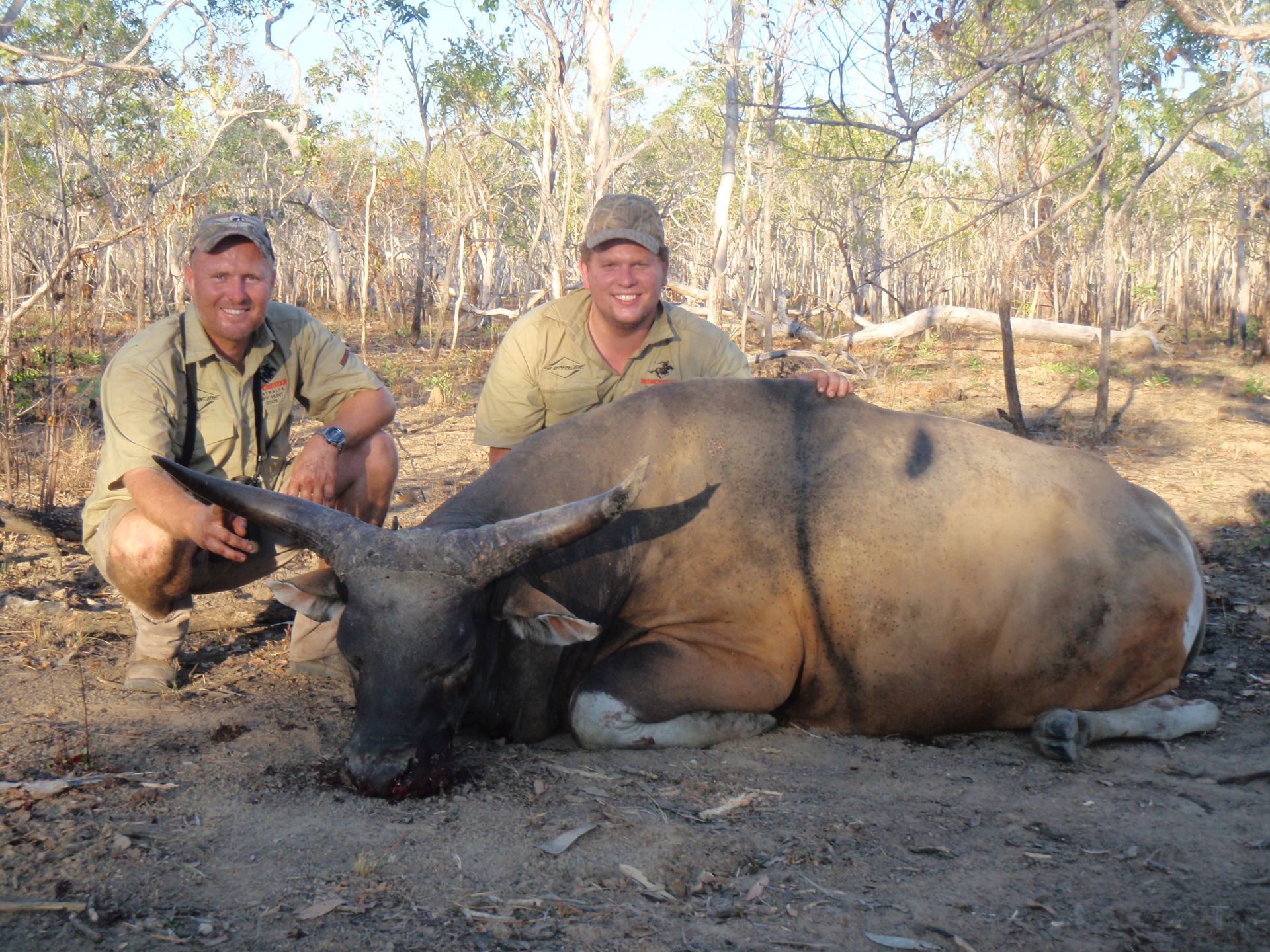 guided hunting
