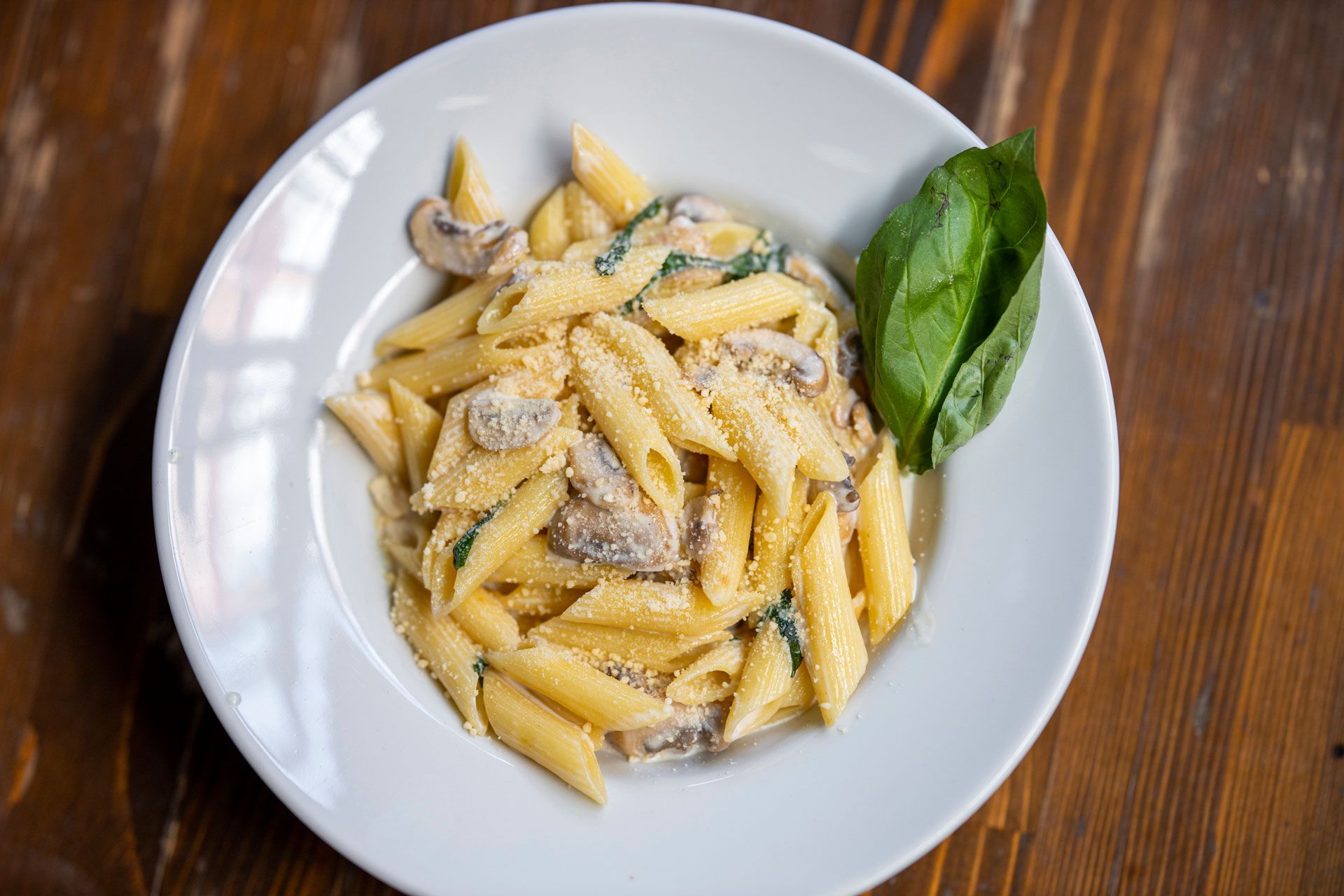 White bowl of penne pasta in creamy sauce with basil on a wooden table