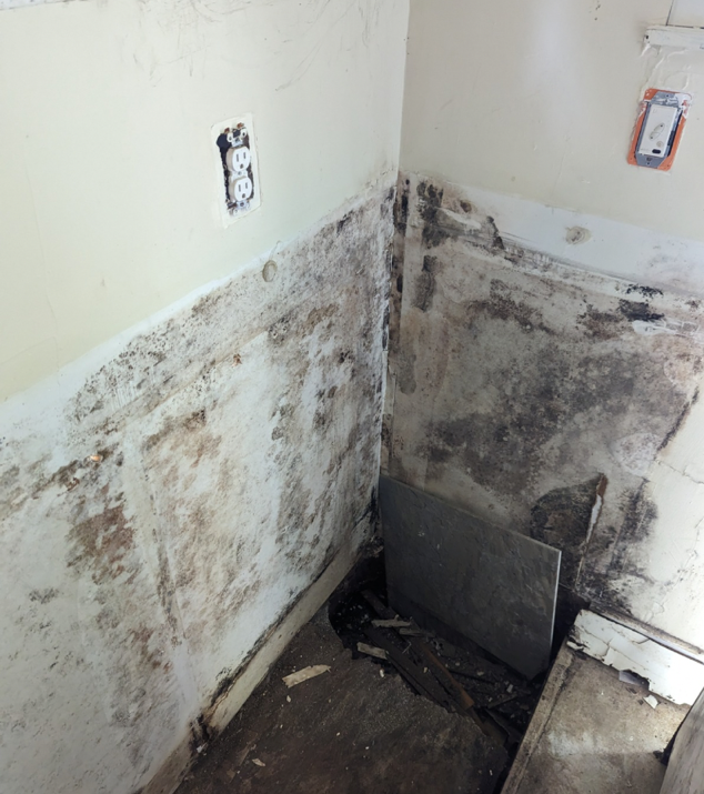 Mold-covered corner of a room with water damage, peeling paint, and a damaged wall outlet.