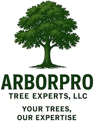 ARBORPRO Tree Experts, LLC logo with green tree and slogan “Your Trees, Our Expertise”