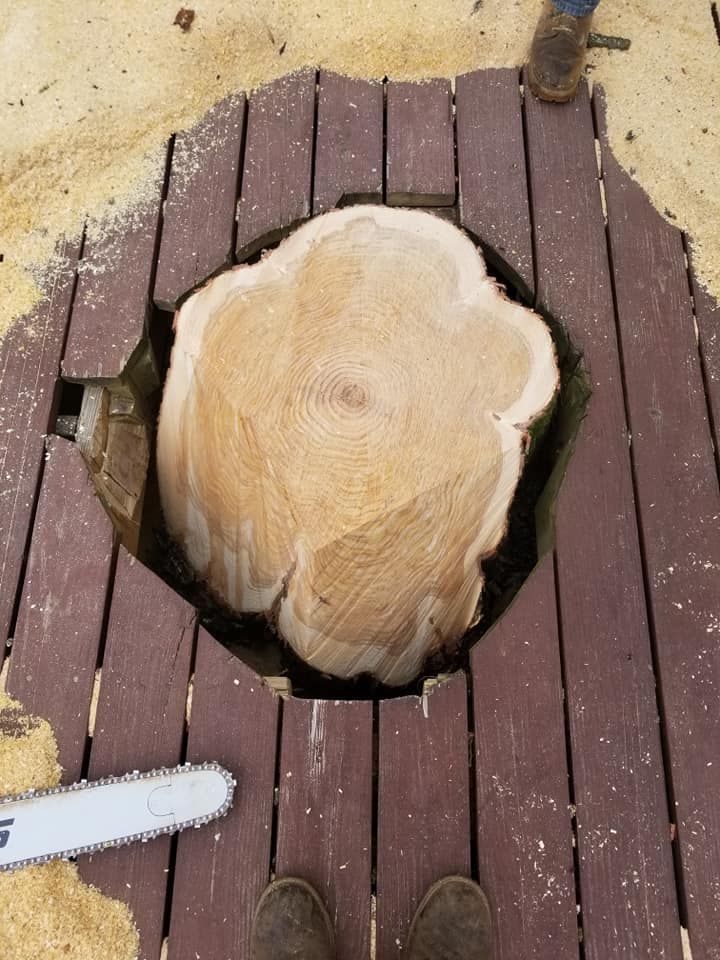 Wood deck with a large circular cutout exposing a tree stump or root below, surrounded by sawdust.