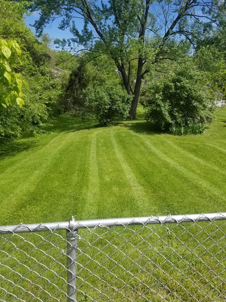 Grassy backyard with chain-link fence and tall trees under a clear blue sky