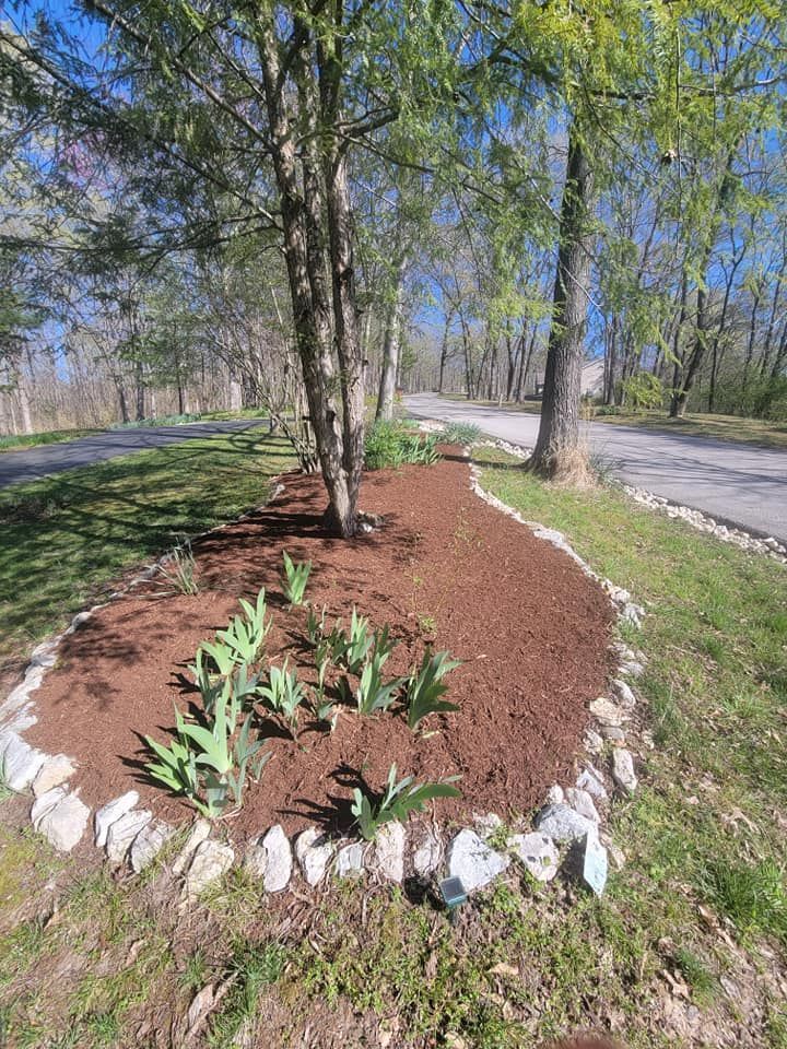 Tree mulch bed with young plants bordered by white rocks beside a roadside