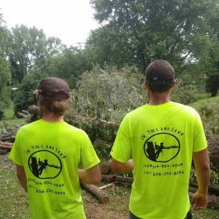 Two people in neon yellow shirts stand outdoors facing a fallen tree in a wooded area.