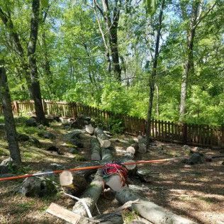 Ropes and logs marking a wooded park trail beside a wooden fence and stone-lined path