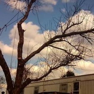 Leafless tree branches against a cloudy sky above a beige building at dusk
