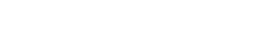 Durk Piet de Vries Organisatieadvies