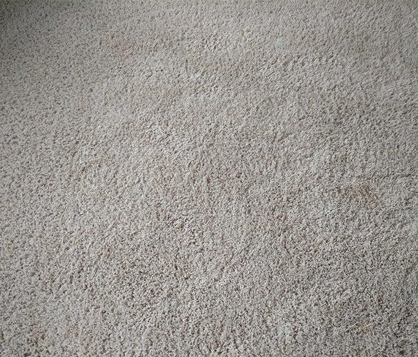 Clean Carpet — Waynesville, NC — Dry Master Carpet Care Clean Carpet — Waynesville, NC — Dry Master Carpet Care