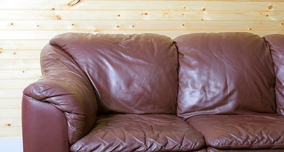 Sofa After Cleaning — Waynesville, NC — Dry Master Carpet Care Sofa After Cleaning — Waynesville, NC — Dry Master Carpet Care
