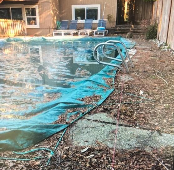 Partially covered backyard pool with a blue tarp and a metal ladder beside a house