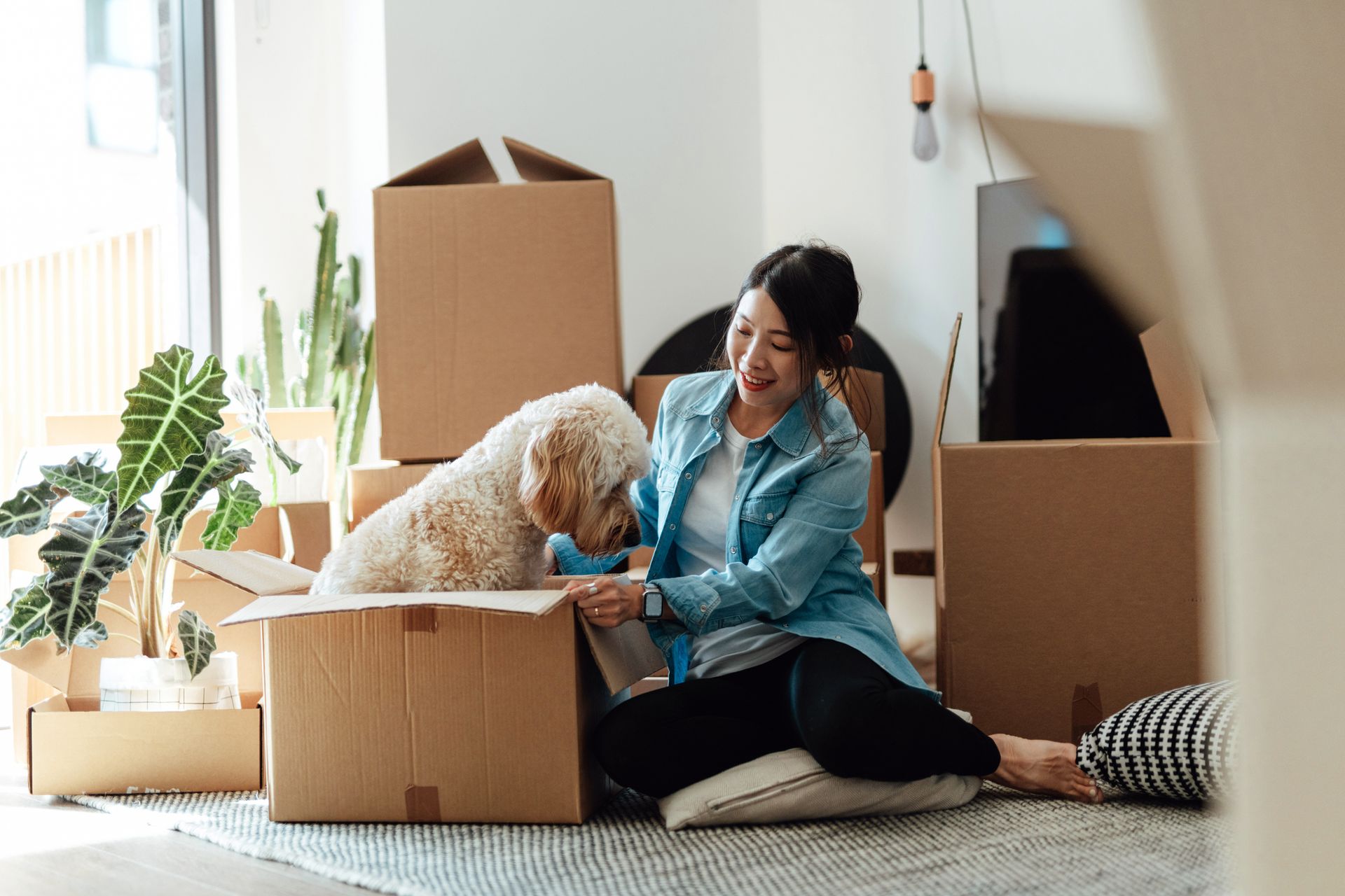 Woman with dog in a cardboard box surrounded by moving boxes and plants, indoors.