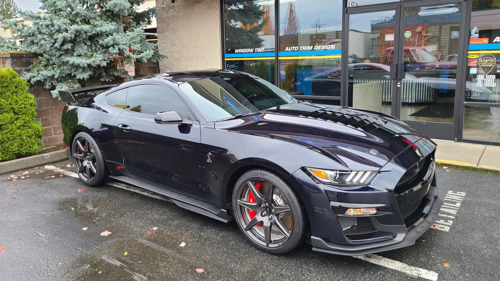 A black ford mustang is parked in a parking lot in front of a building.