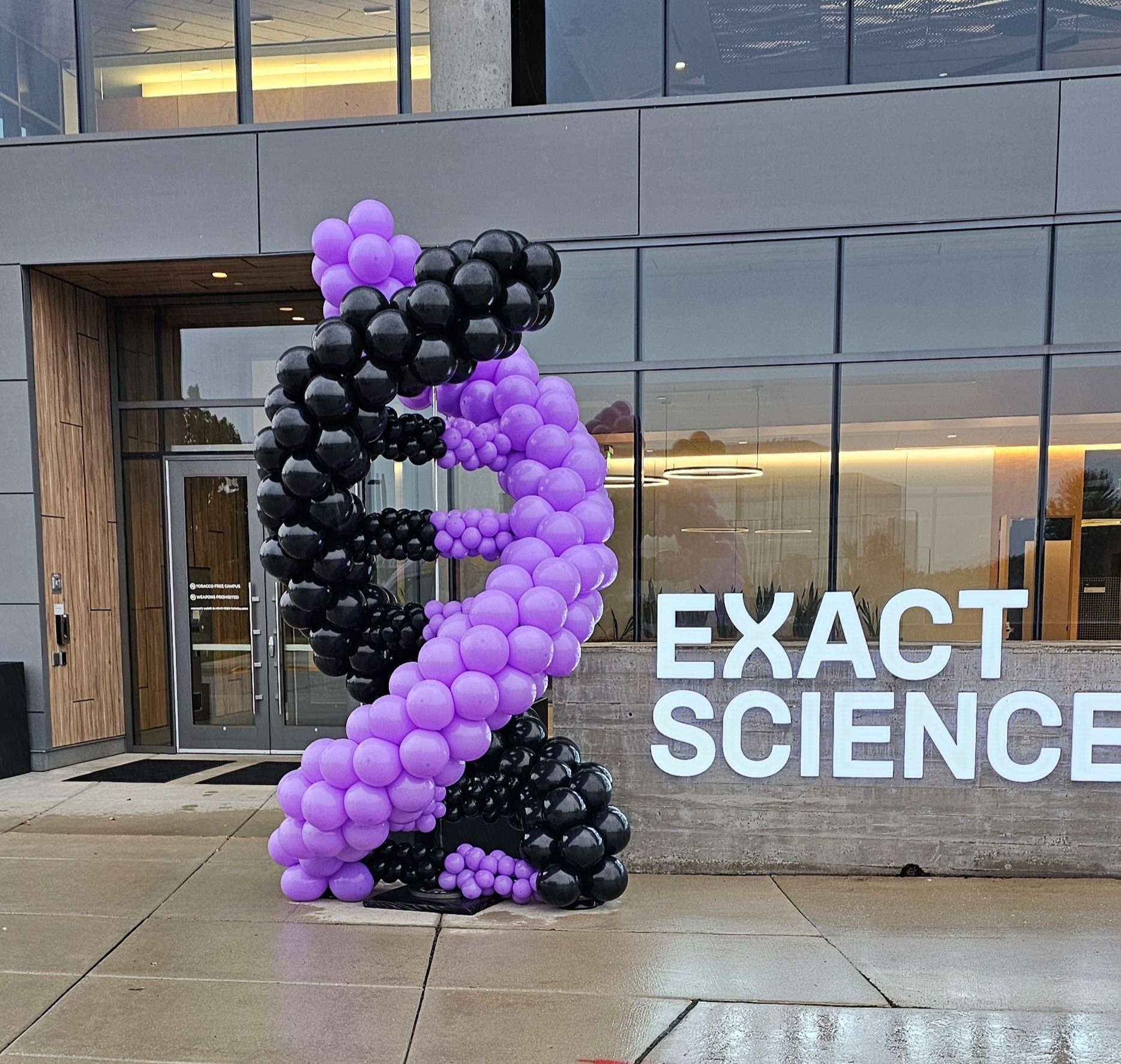 Custom purple and black DNA sculpture. 