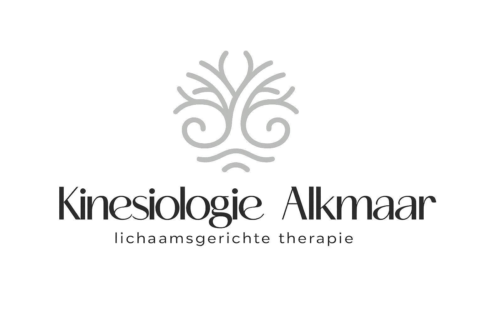 kinesiologie Alkmaar