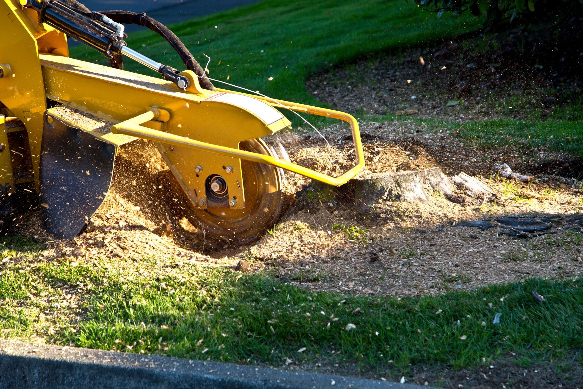 A yellow machine is stump grinding a tree stump.