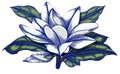 A blue and white flower with green leaves on a white background