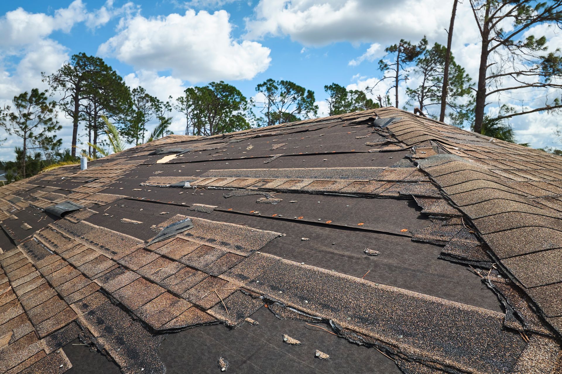 Roof with damaged shingles and missing sections under a blue sky with trees in the background