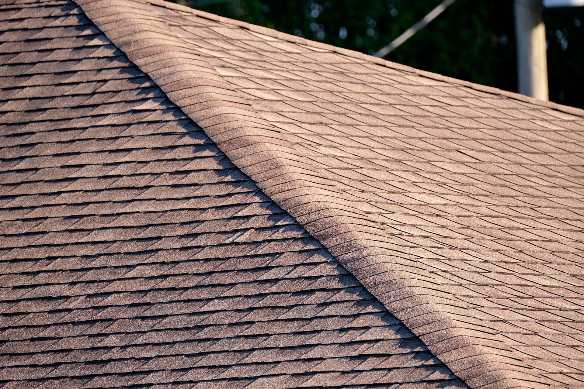Close-up of a sloped shingled roof with a diagonal ridge in warm sunlight