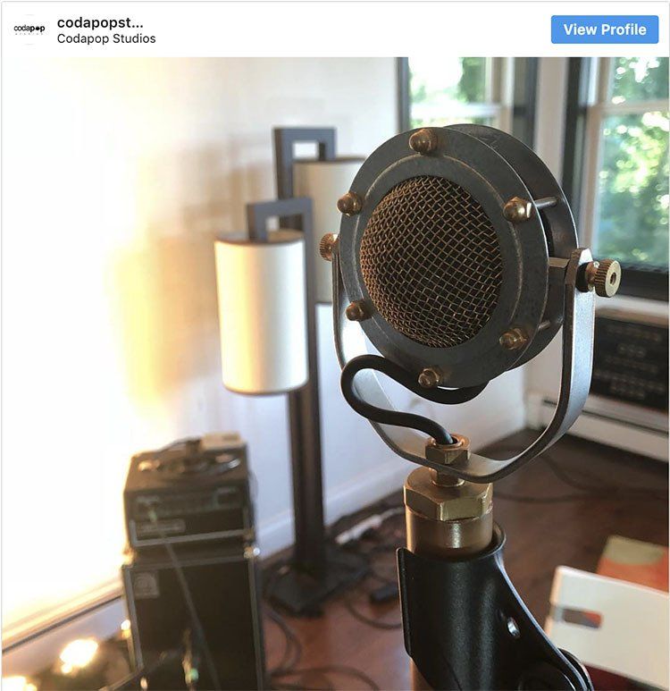 A picture of a microphone with a view profile button