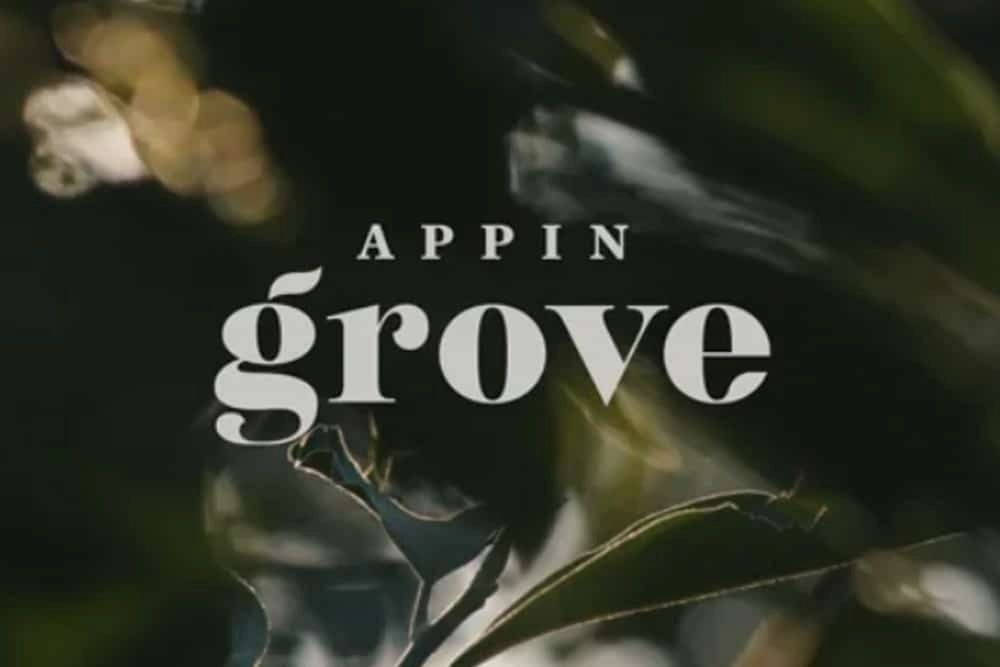 The Logo for Appin Grove Is Surrounded by Leaves and Flowers — Evolution Building Group Dapto, NSW