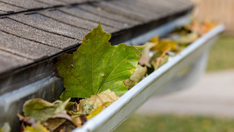 Gutter Cleaning - Canton, OH - Big T's Power Clean