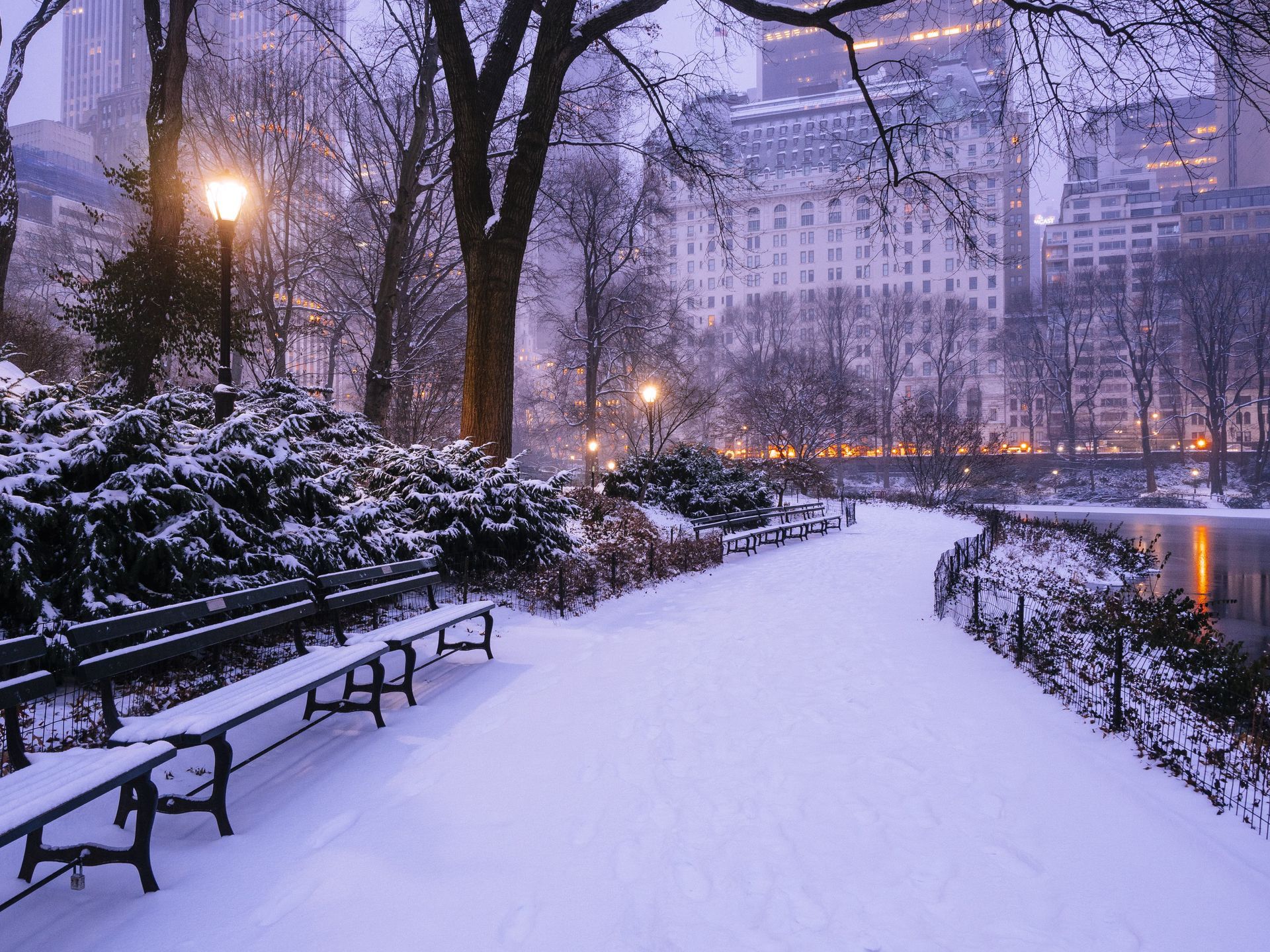 Snow-covered Central Park path with benches, trees, and buildings lit by streetlights.
