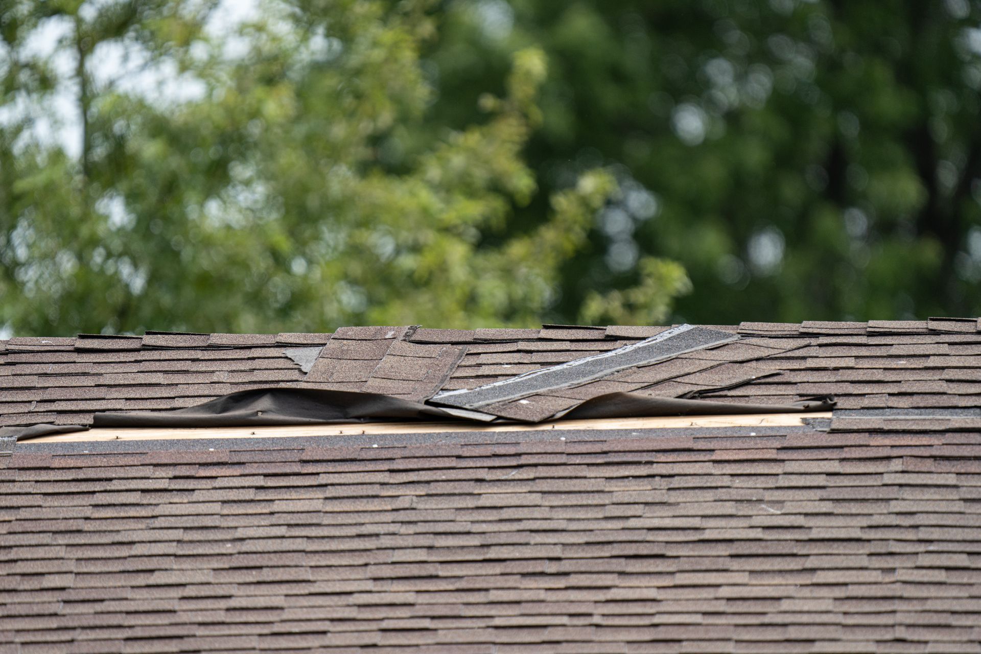 Damaged rooftop with missing shingles, exposing underlayment.