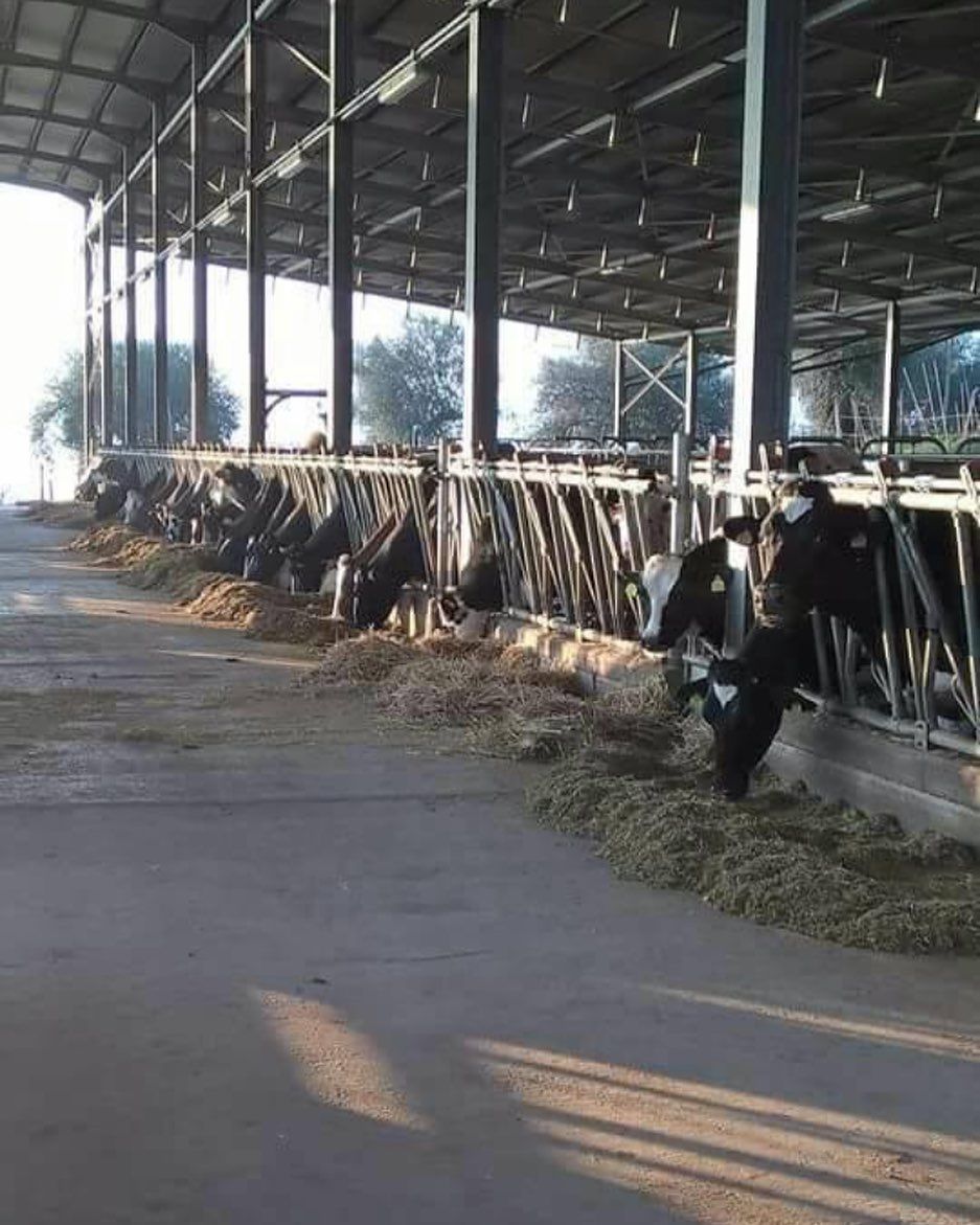 AZIENDA AGRICOLA