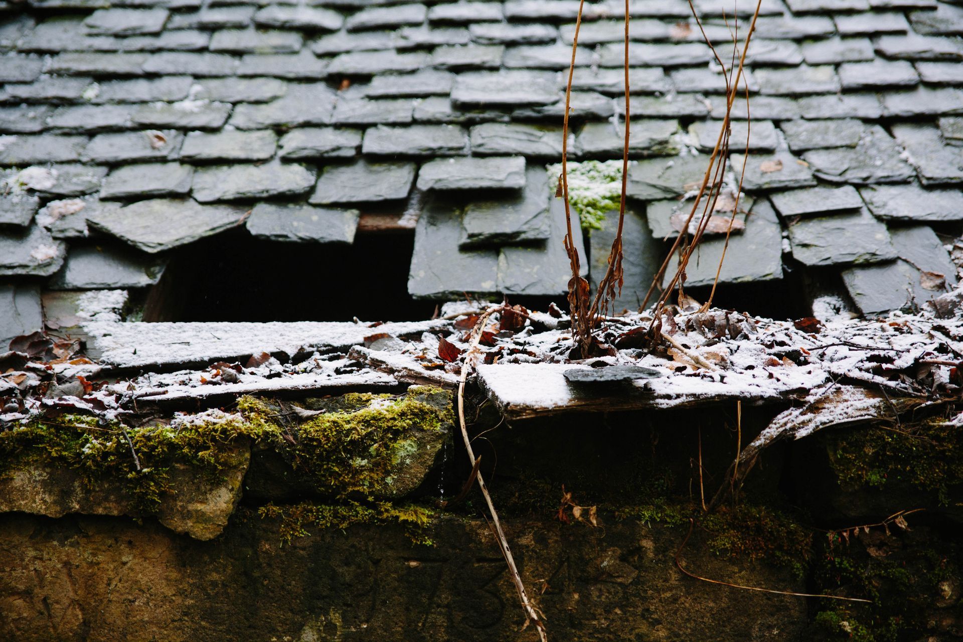 Damaged slate roof with a large hole, overgrown with vegetation.