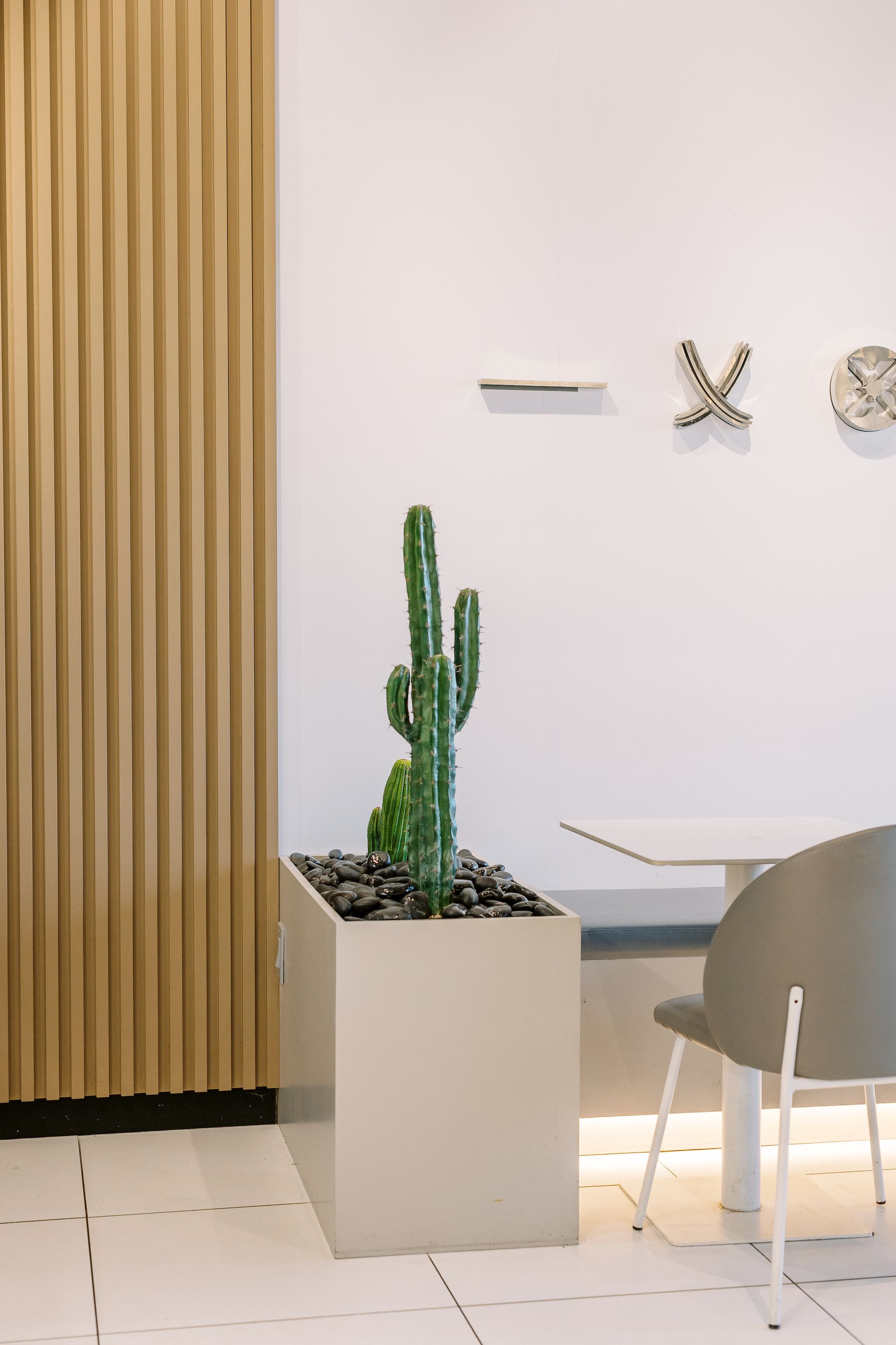 A cactus in a planter in a room next to a table and chairs.