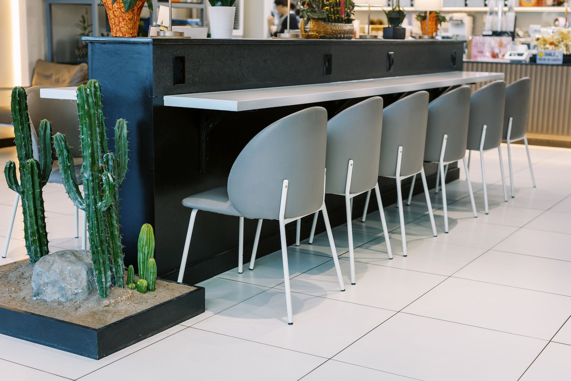 A row of chairs in a restaurant with a cactus next to them