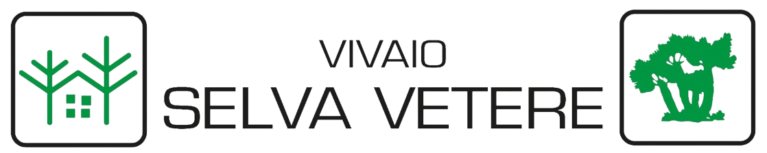 Vivaio Selvavetere LOGO
