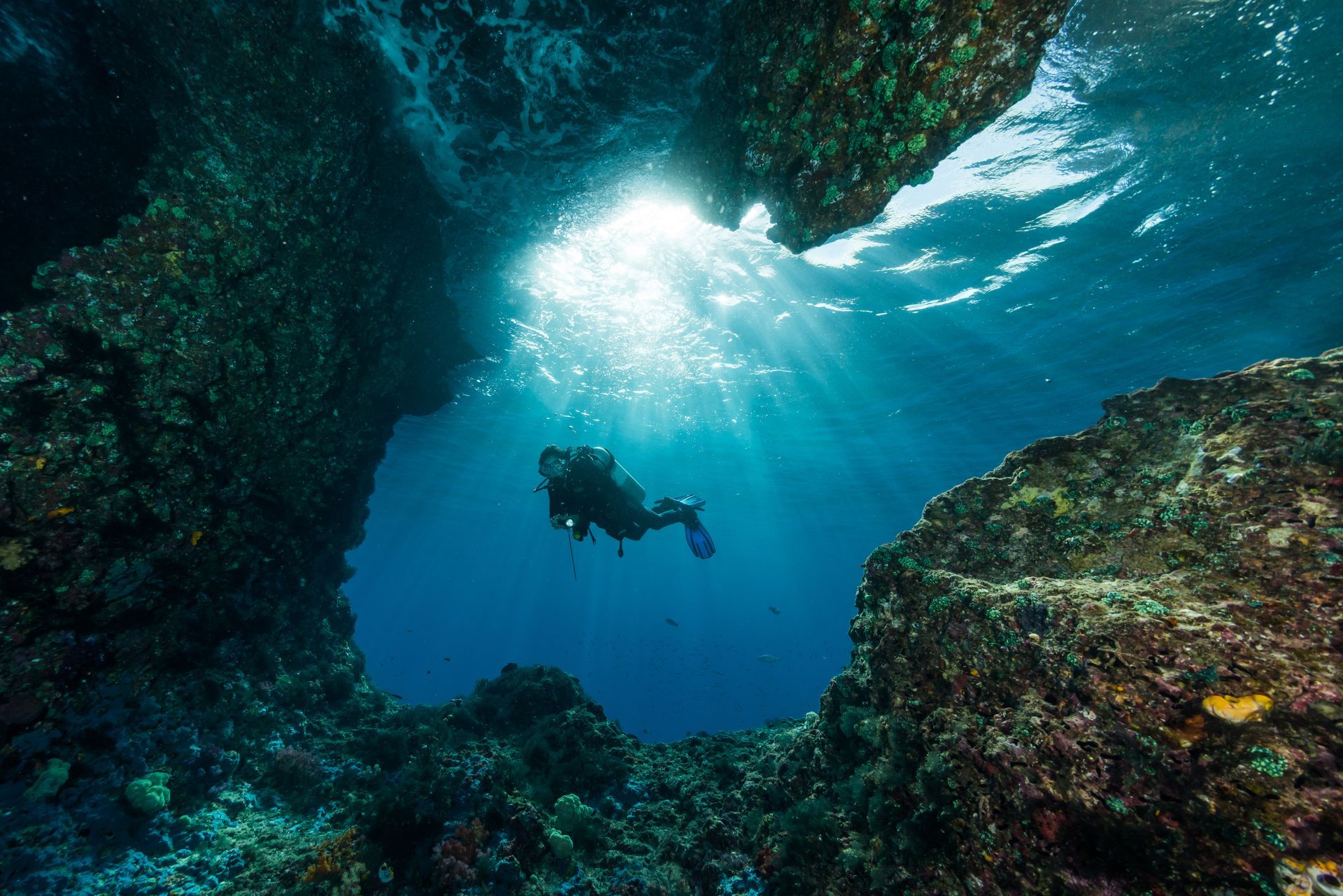 A scuba diver is swimming through a cave in the ocean.