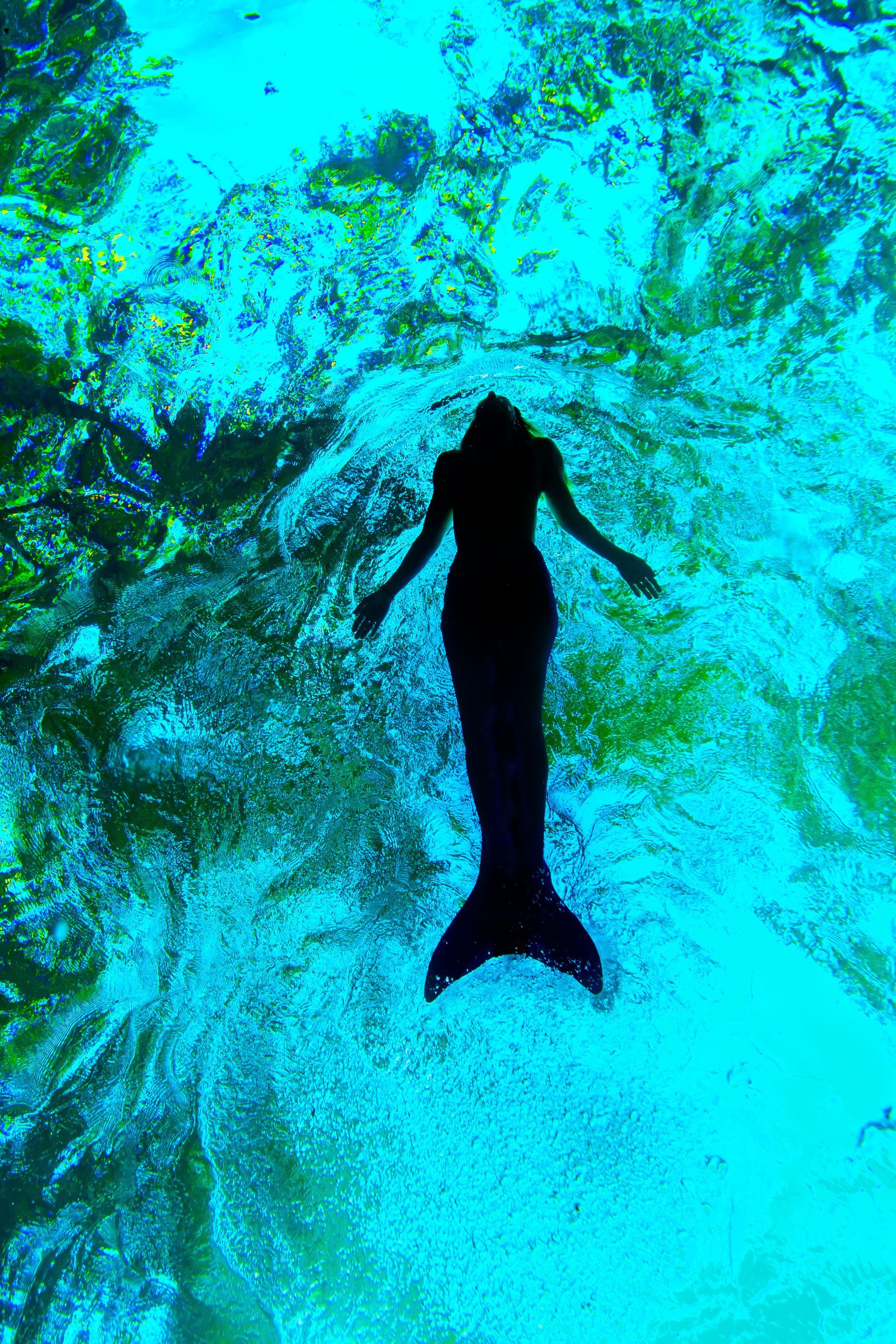A silhouette of a mermaid is swimming in the ocean.