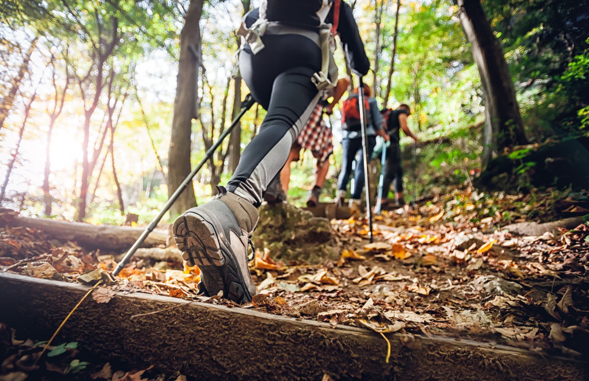 A group of people are hiking up a hill in the woods.